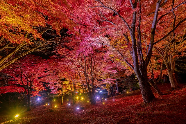 土津神社　紅葉